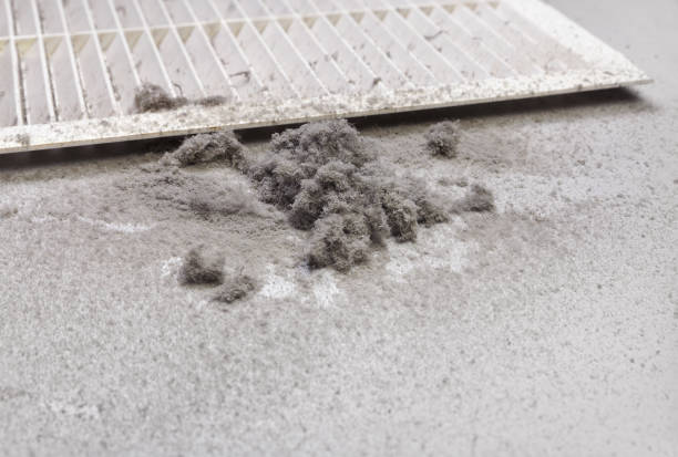 Best Best Air Duct Cleaning Company  in Sale Creek, TN