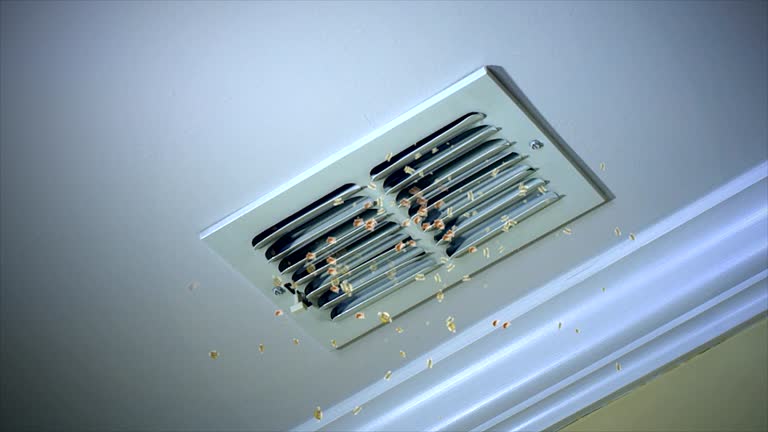 Best Professional Duct Cleaning Services  in Sale Creek, TN