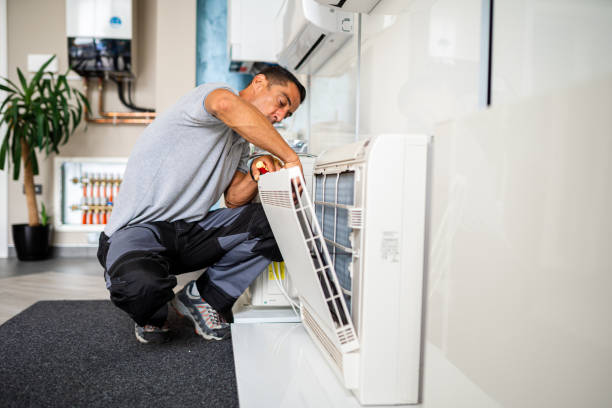 Best Local Air Duct Cleaning Services  in Sale Creek, TN