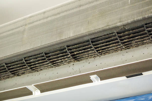 Best Commercial HVAC Duct Cleaning  in Sale Creek, TN