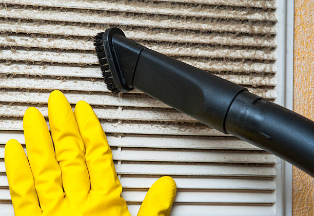 Best Emergency Air Duct Cleaning  in Sale Creek, TN